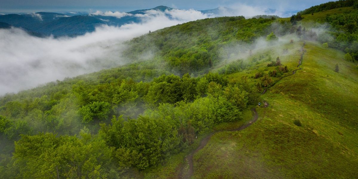 VI Festiwal Biegu Rzeznika 004